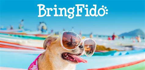 bringfido|More.